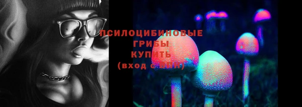 ГАЛЛЮЦИНОГЕННЫЕ ГРИБЫ Богородицк