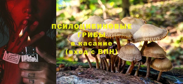 гашик Богородск
