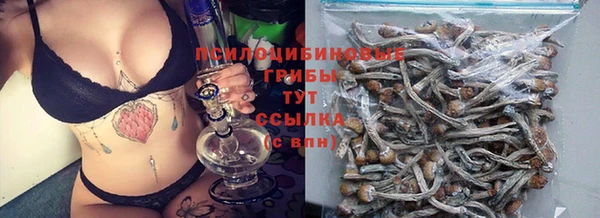 гашик Богородск